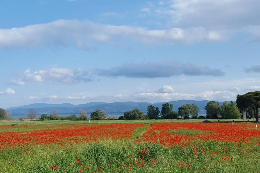 Bellavista La Tua Romantica Vacanza Sul Trasimeno Castiglione del Lago Eksteriør bilde