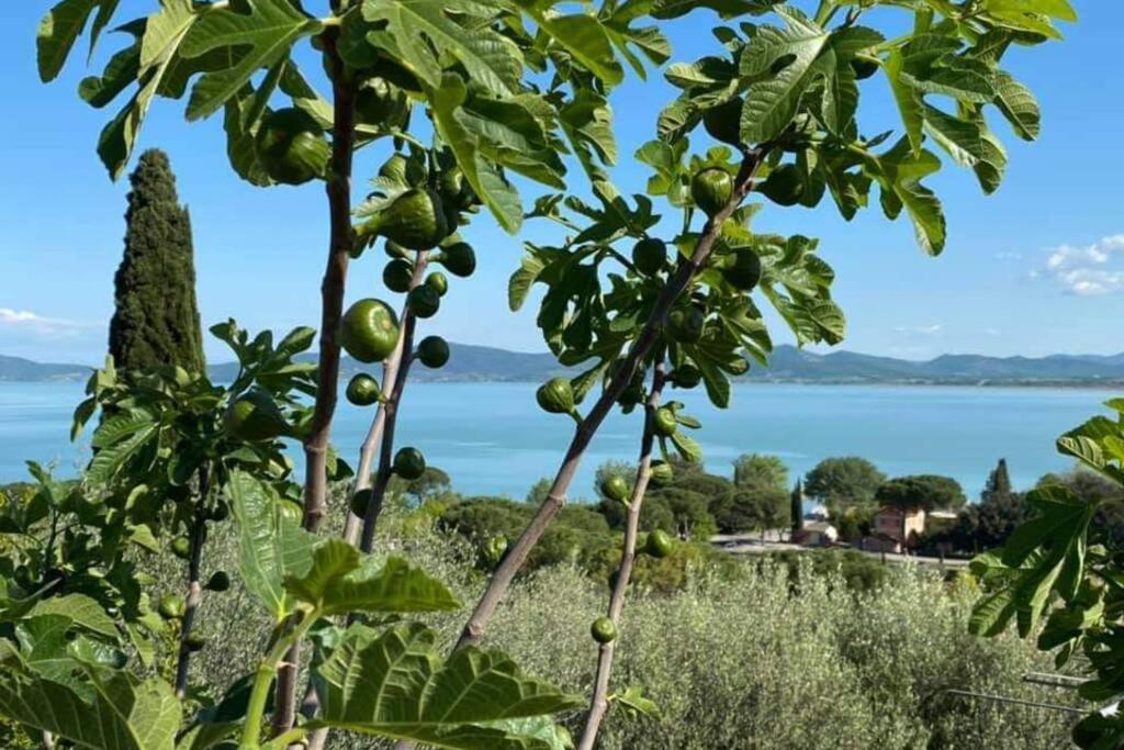 Bellavista La Tua Romantica Vacanza Sul Trasimeno Castiglione del Lago Eksteriør bilde