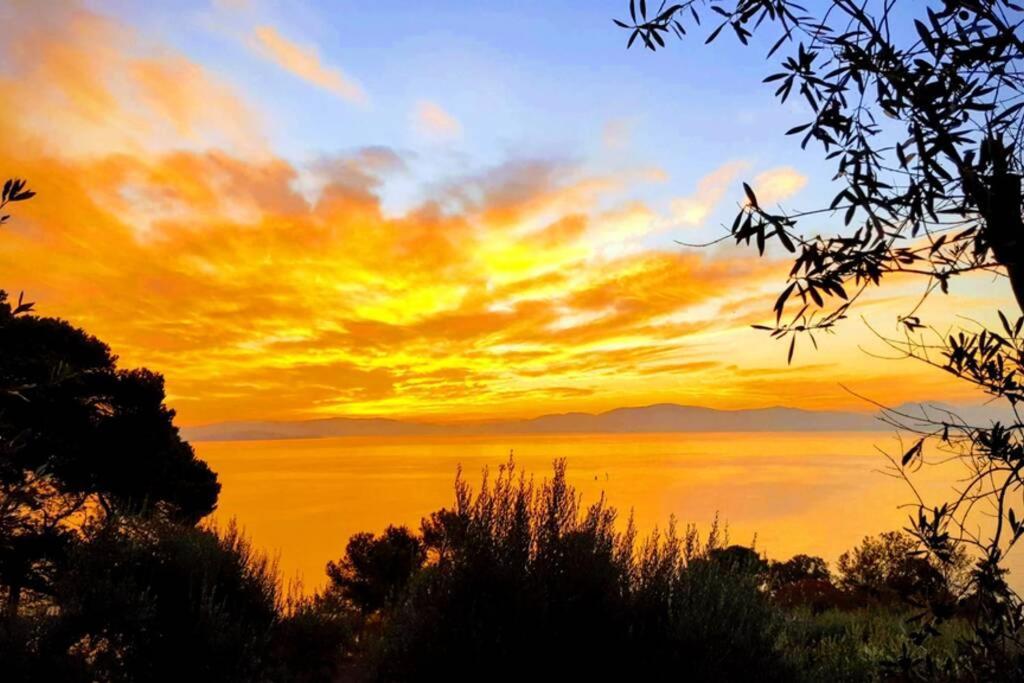 Bellavista La Tua Romantica Vacanza Sul Trasimeno Castiglione del Lago Eksteriør bilde