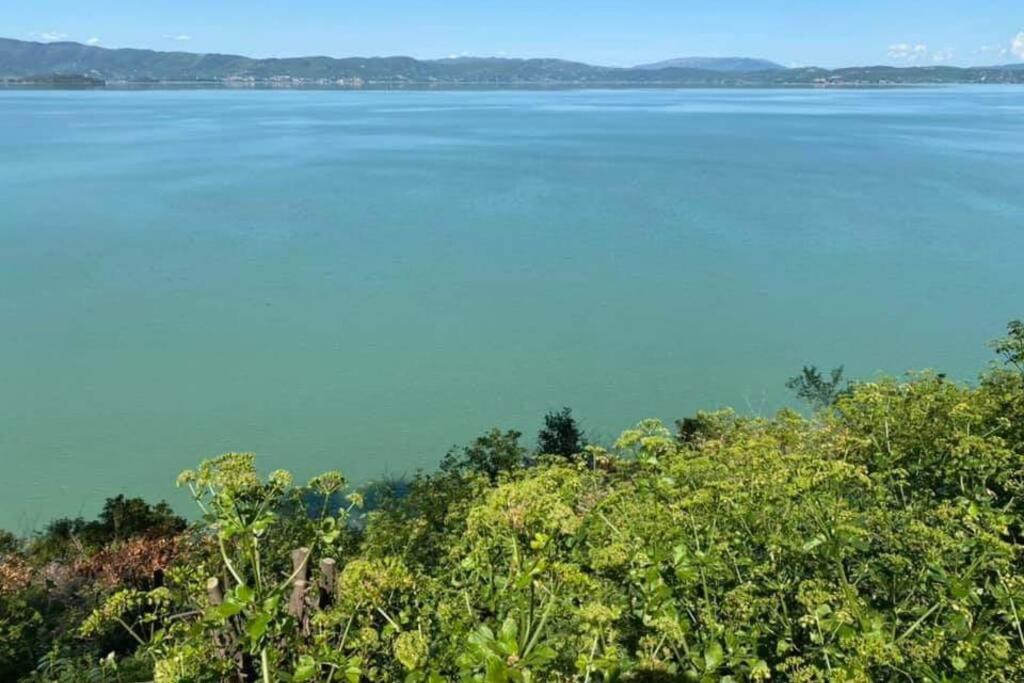 Bellavista La Tua Romantica Vacanza Sul Trasimeno Castiglione del Lago Eksteriør bilde