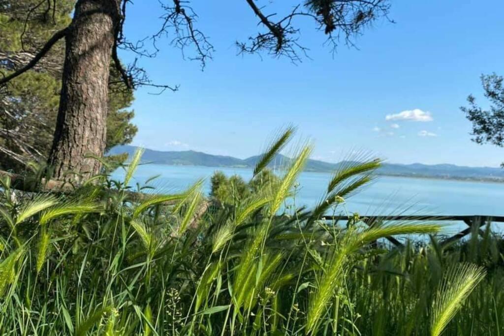 Bellavista La Tua Romantica Vacanza Sul Trasimeno Castiglione del Lago Eksteriør bilde