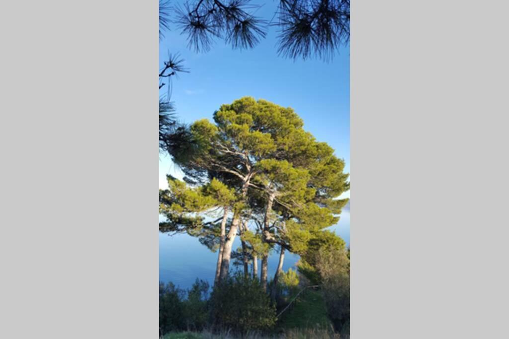 Bellavista La Tua Romantica Vacanza Sul Trasimeno Castiglione del Lago Eksteriør bilde