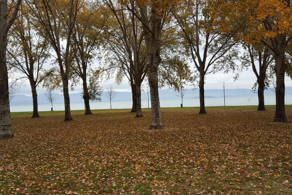 Bellavista La Tua Romantica Vacanza Sul Trasimeno Castiglione del Lago Eksteriør bilde