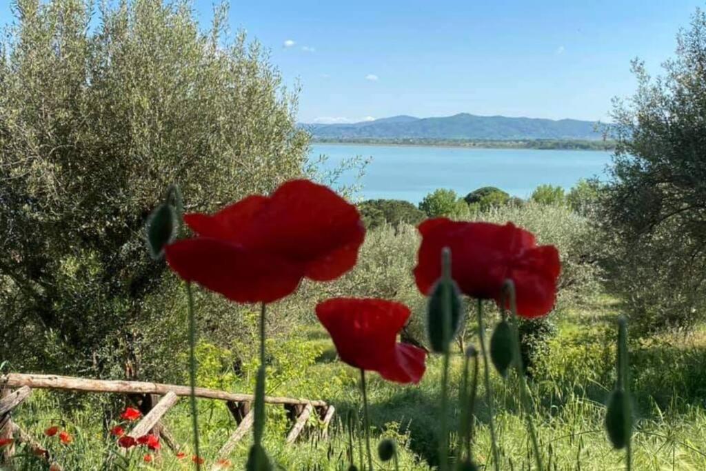 Bellavista La Tua Romantica Vacanza Sul Trasimeno Castiglione del Lago Eksteriør bilde