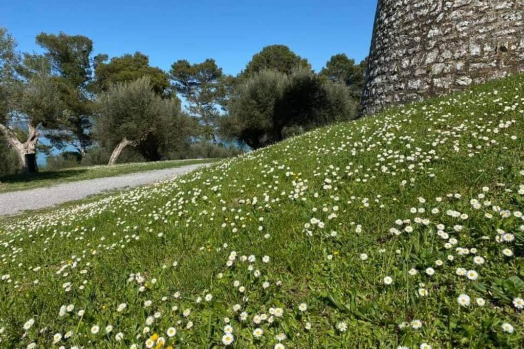 Bellavista La Tua Romantica Vacanza Sul Trasimeno Castiglione del Lago Eksteriør bilde
