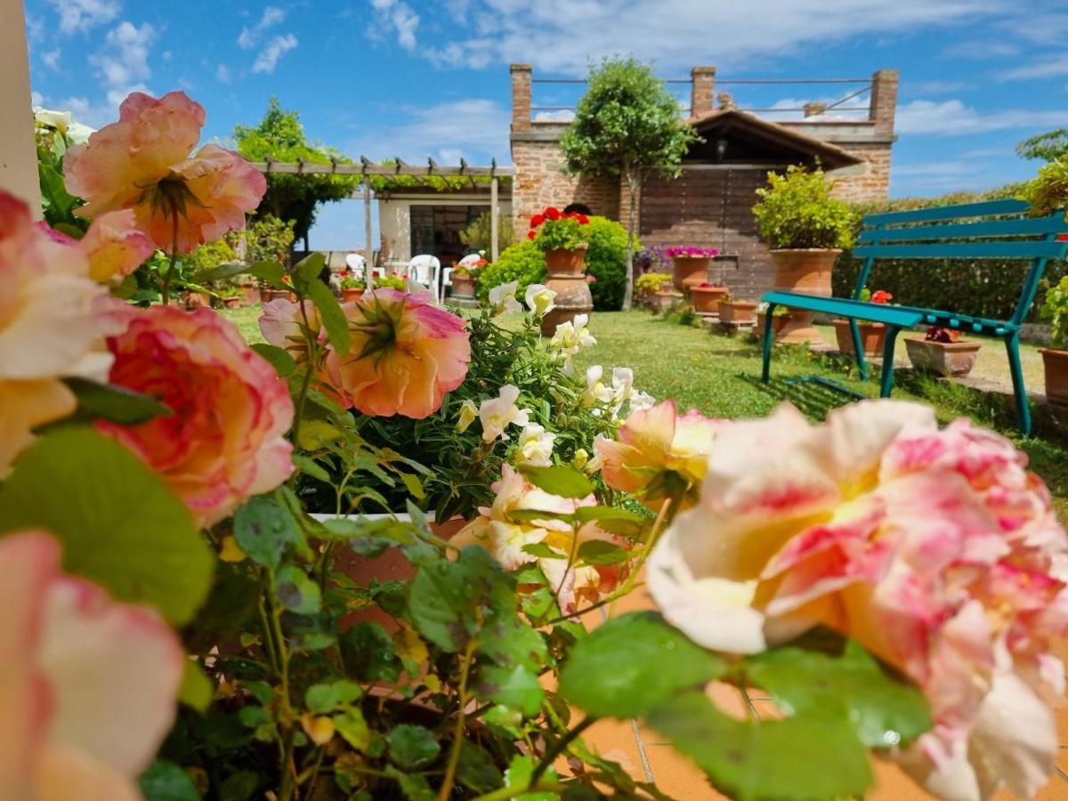 Bellavista La Tua Romantica Vacanza Sul Trasimeno Castiglione del Lago Eksteriør bilde